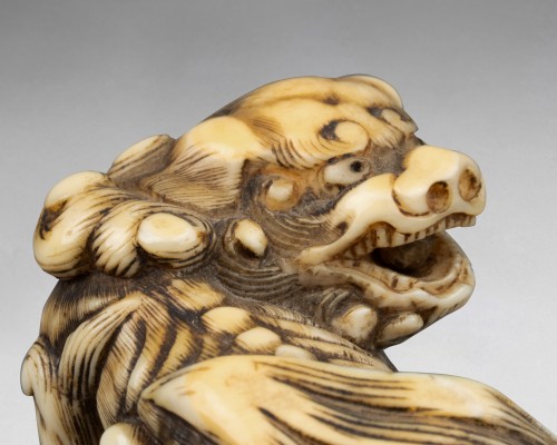 Netsuke – modèle en ivoire sculpté Shishi, Japon Edo - 