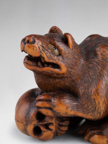 Antiquités - Netsuke par kokei, modèle de loup la patte retenant un crâne, japon 19e