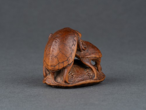 Asian Works of Art  - Netsuke Turtles By Komin, Edo Japan