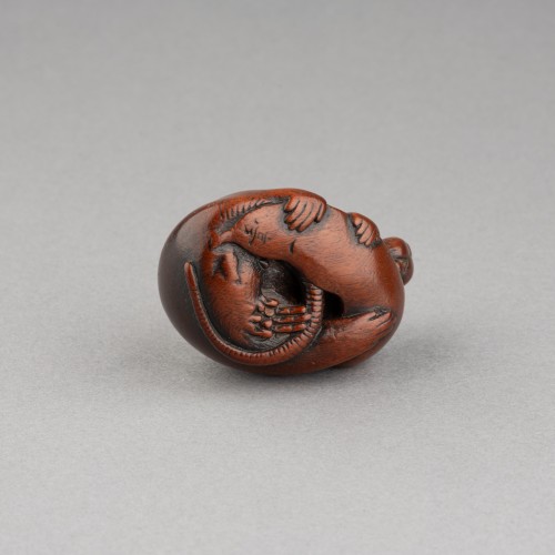 XIXe siècle - Netsuke – Adorable rat sculpté en bois par Itteï, Gifu japon Edo