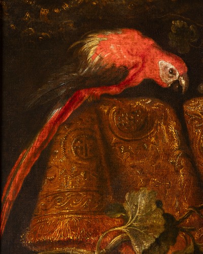 Still life with macaw, squirrel and spaniels - attributed to Reynaud Levieu - Louis XIV