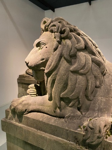 Antiquités - Exceptional pair of 19th century monumental bluestone lions. Belgium around