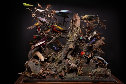 Pair of 19th C French Dioramas taxidermy birds and animals,original display - 