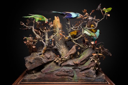 Antiquités - Paire de dioramas français du 19e représentant des oiseaux et des animaux