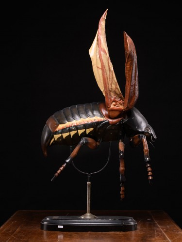 Large Didactical Model of a Cockchafer or May bug . - Curiosities Style 