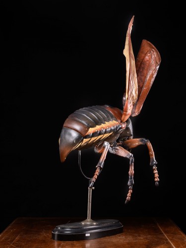 Antiquités - Large Didactical Model of a Cockchafer or May bug .