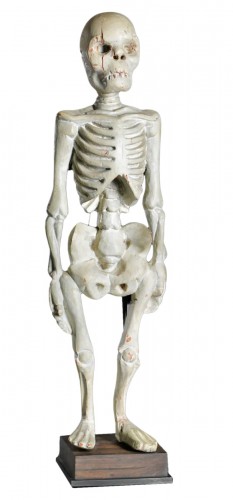 Squelette humain debout en bois, Asie du Sud-Est, début du XXe siècle.