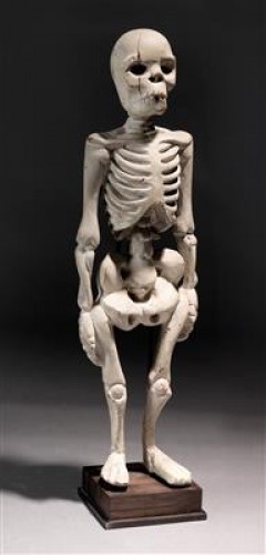 Standing Human Skeleton in Wood, South East Asia, early 20th Century - Curiosities Style 