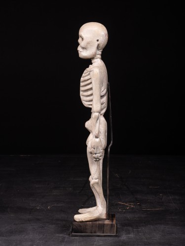 Standing Human Skeleton in Wood, South East Asia, early 20th Century - 