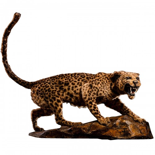 Léopard asiatique très rare (Panthera pardus), Taxidermie des années 1920