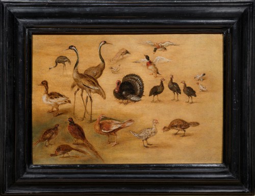 Bird Study by the Workshop of Jan Brueghel the Younger (1601 - 1678) - Paintings & Drawings Style 