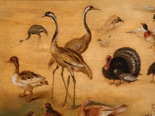 Bird Study by the Workshop of Jan Brueghel the Younger (1601 - 1678) - 