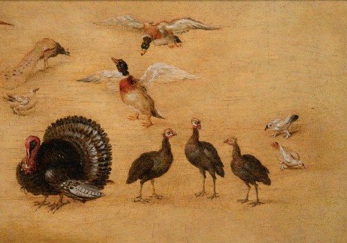 17th century - Bird Study by the Workshop of Jan Brueghel the Younger (1601 - 1678)