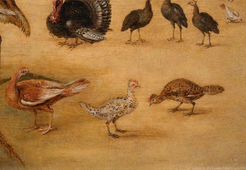 Bird Study by the Workshop of Jan Brueghel the Younger (1601 - 1678) - 