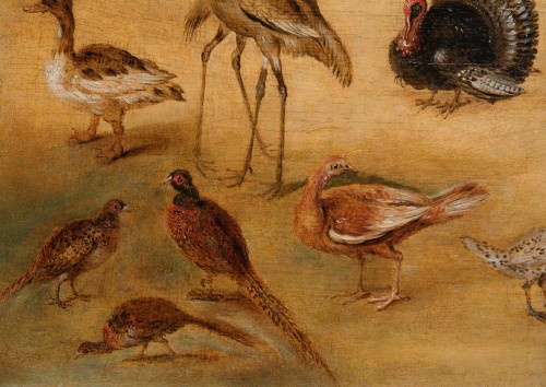  - Bird Study by the Workshop of Jan Brueghel the Younger (1601 - 1678)