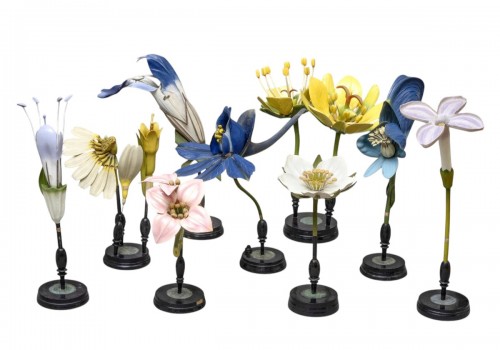 A collection of flower-models by Robert Brendel