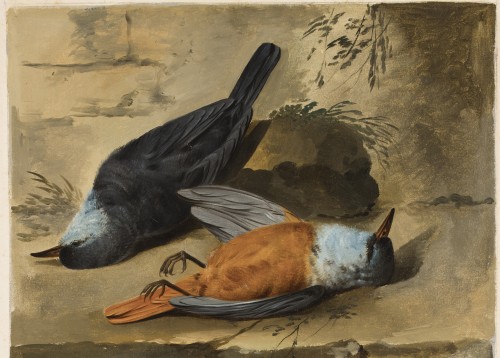 Jacob Xaver Vermoelen (c.1714–1784) - Nature morte aux oiseaux - Tableaux et dessins Style 