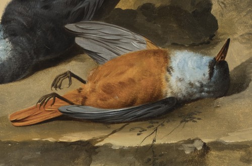 Jacob Xaver Vermoelen (c.1714–1784) - Nature morte aux oiseaux - White Rose Fine Art