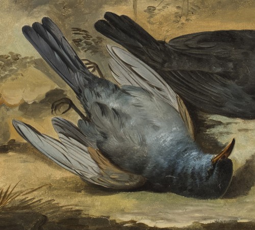 XVIIIe siècle - Jacob Xaver Vermoelen (c.1714–1784) - Nature morte aux oiseaux